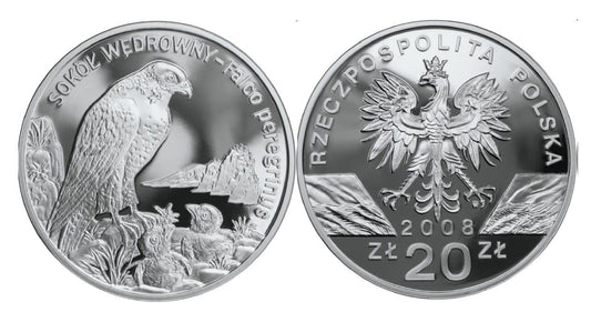 20 zł Sokół wędrowny (łac. Falco peregrinus) 2008