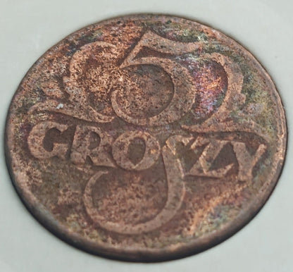 5 groszy 1923